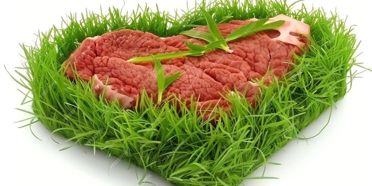 Источник фото: https://www.freepik.com/