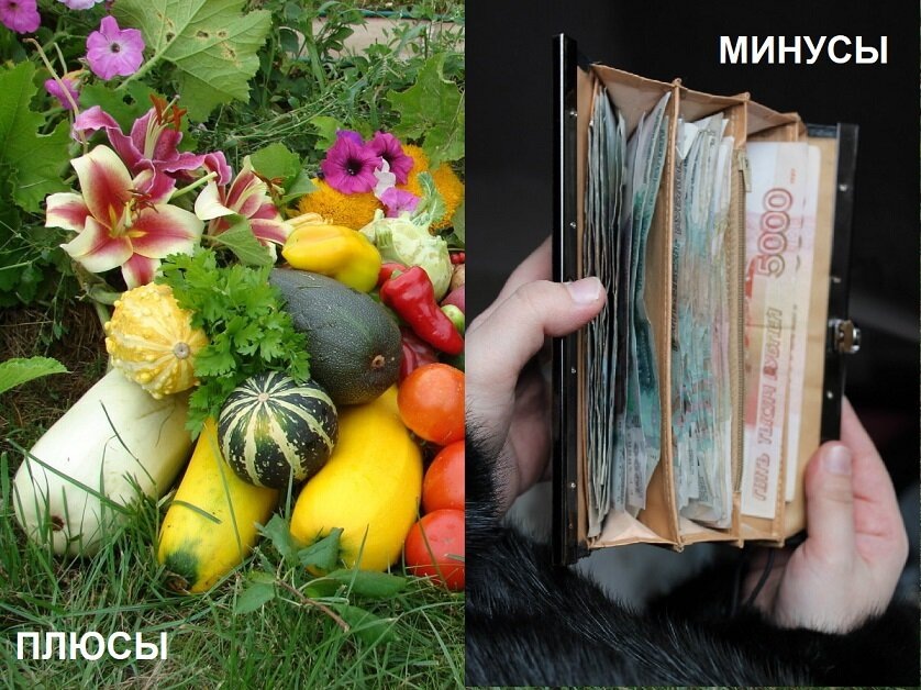 Сведение баланса между плюсами и минусами владения дачным участком (из сети)