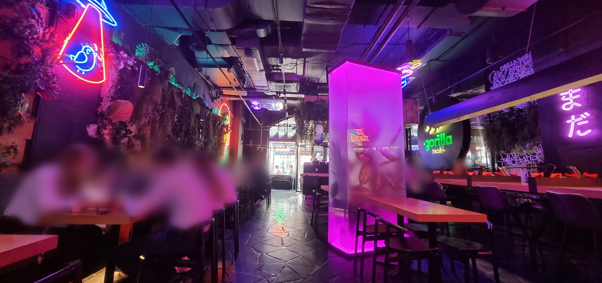 "Gorilla by Basta", интерьер без цветокора