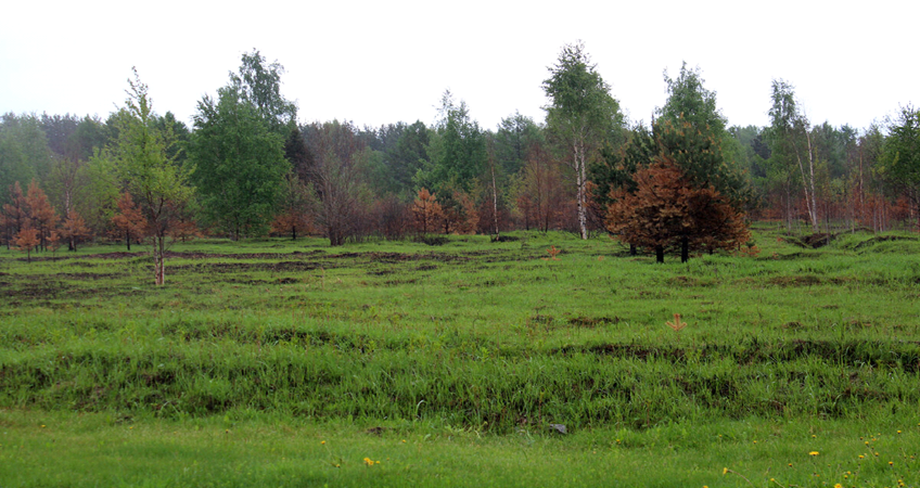 "Здесь птицы не поют, деревья не растут......."