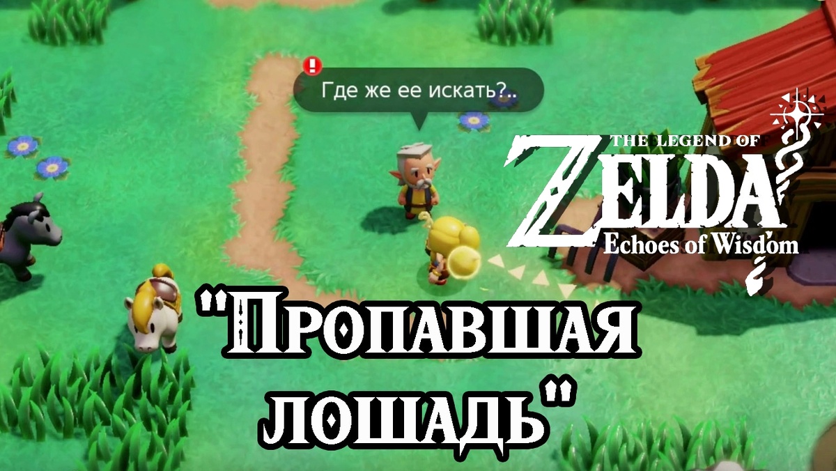 Дополнительное задание "Пропавшая лошадь" в игре "The Legend of Zelda: Echoes of Wisdom"