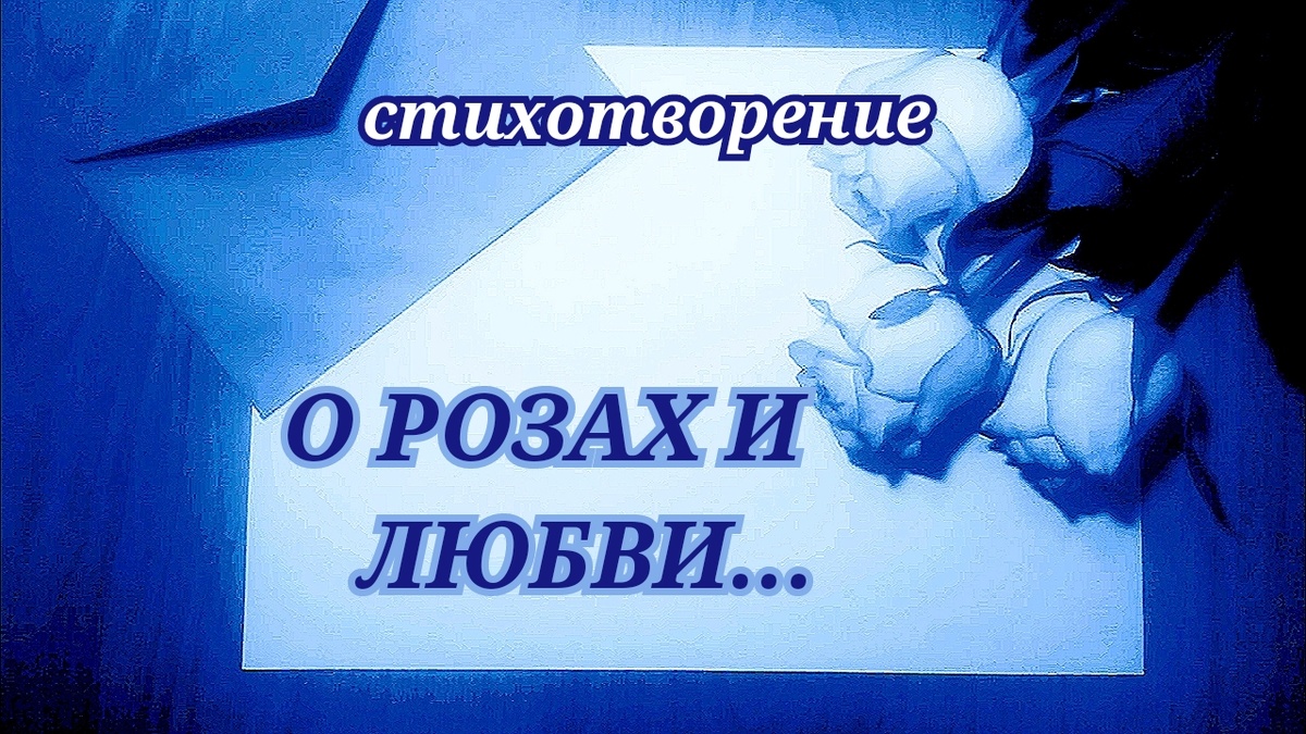 Фотография автора 