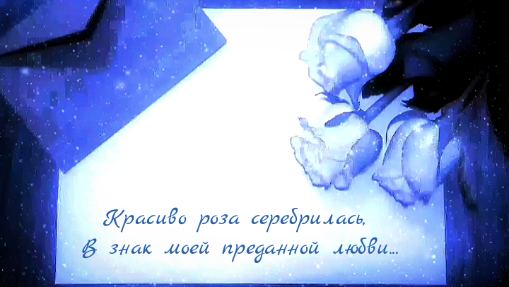 Фотография автора