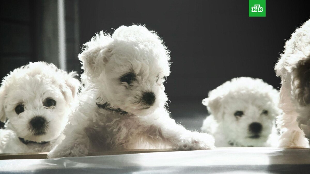    Фото: Kristin O Karlsen / unsplash.com