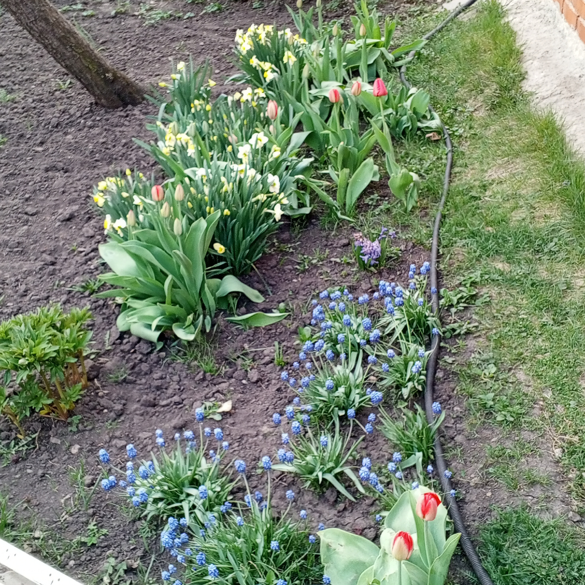 Личное фото автора