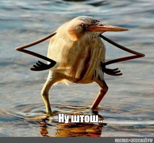 взято из открытых источников