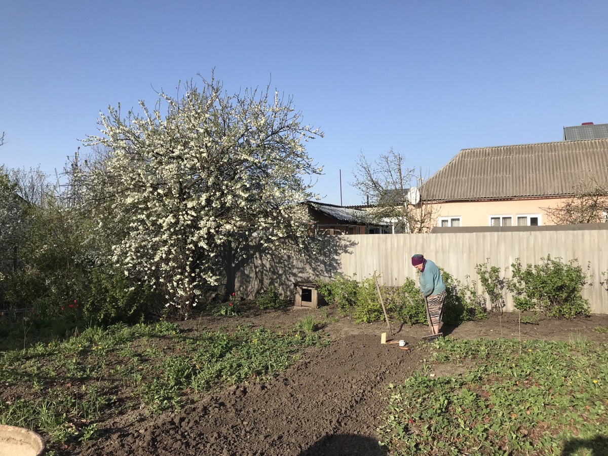 Фото автора. Моя Княгиня Вера 