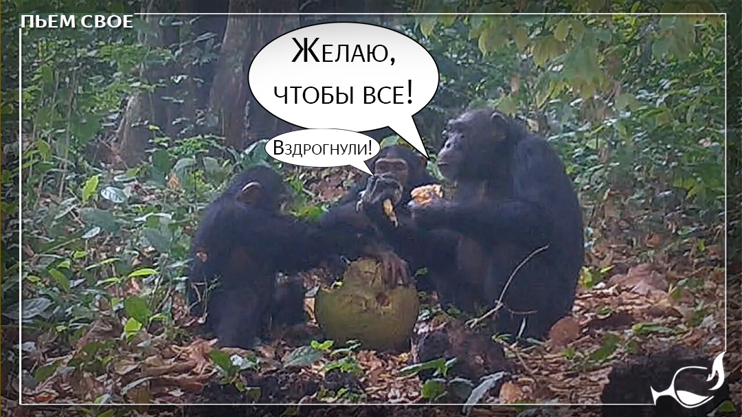 Три обезьяньих богатыря за богатырской трапезой