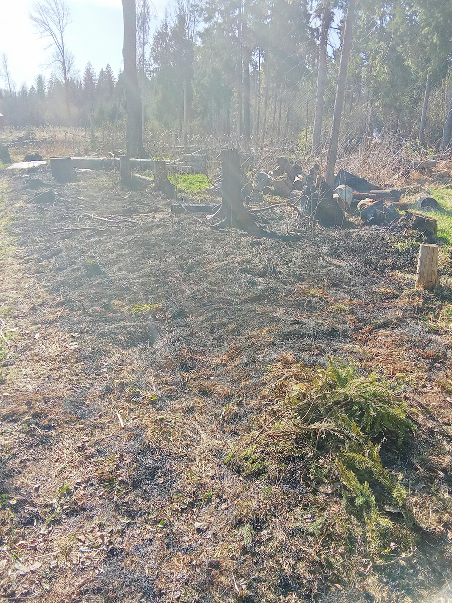 Фото сделано после успешной борьбы с огнем 