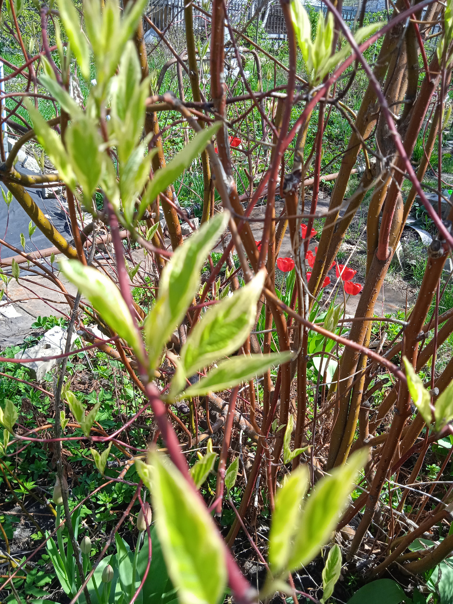 Фото автора канала. 