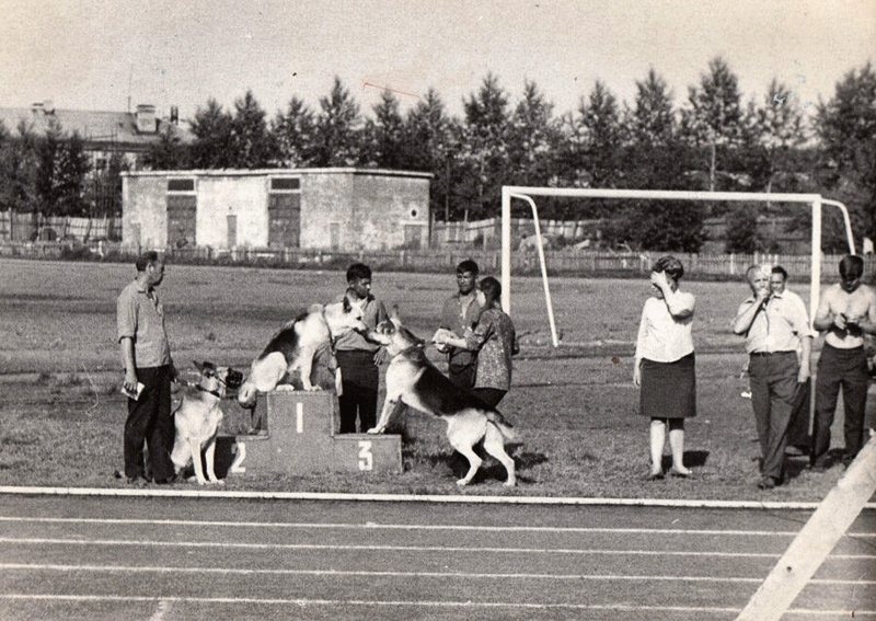 Фото из открытых источников