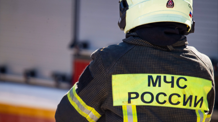    Фото: © РИА Новости/Дмитрий Макеев