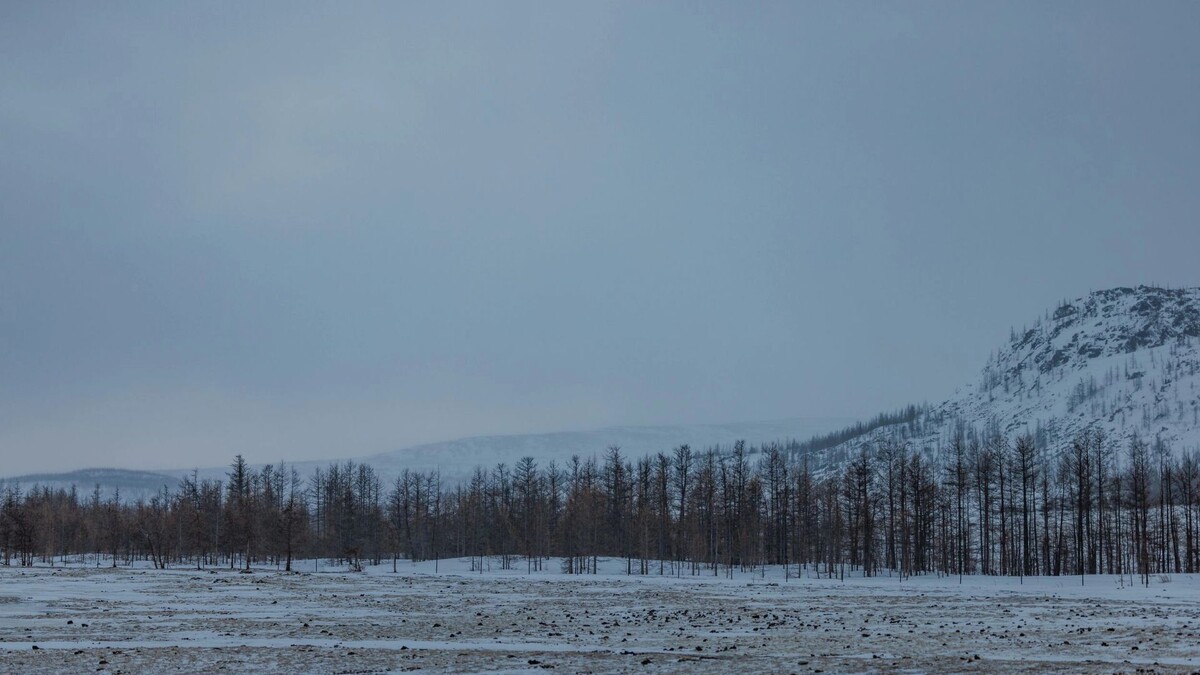    Фото: Сергей Зубков/«Ямал-Медиа»