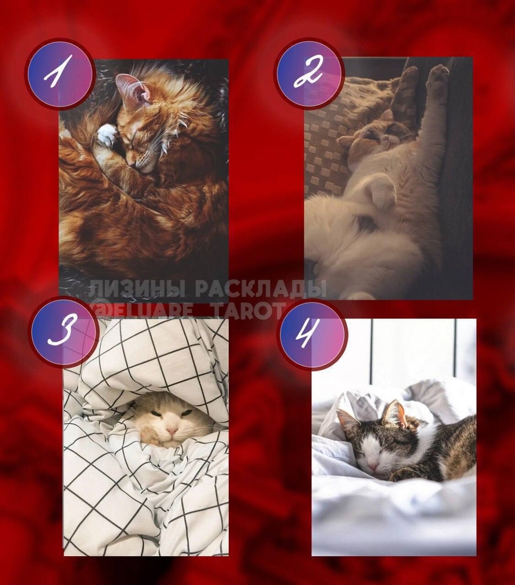 Выбери карту и давай посмотрим!