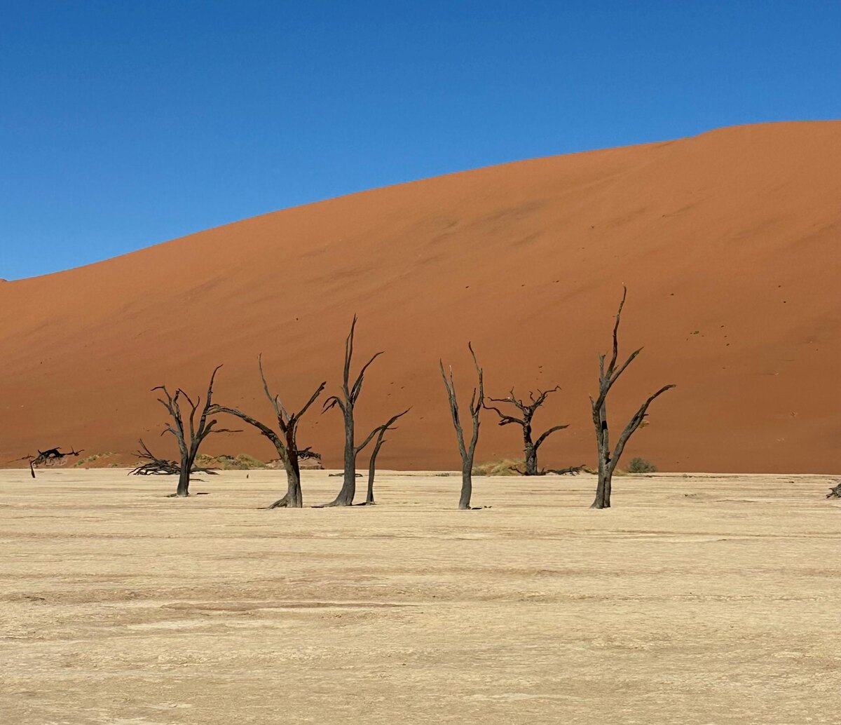 Самая большая дюна в Африке и мире