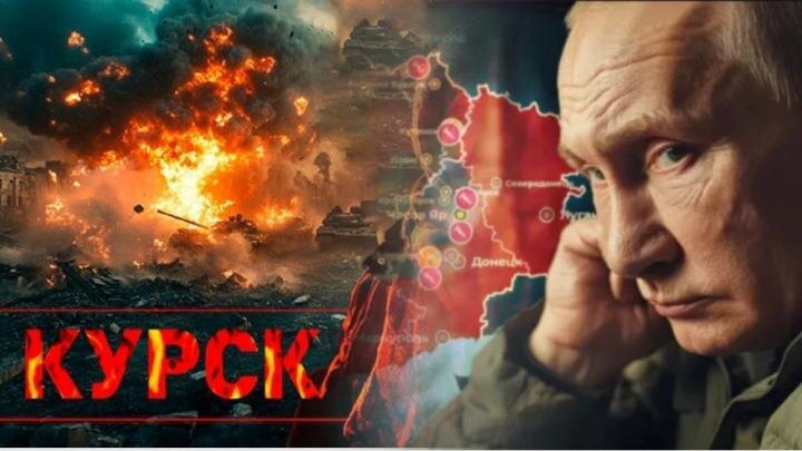 Коллаж NovorosInform