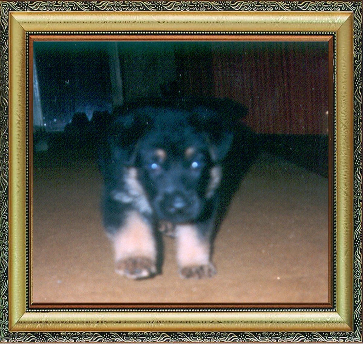 Фото из архива Ивановых и Рыжковых – НИКО, 2003