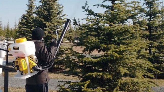 Фото: "Парковое агентство/ВКонтакте"