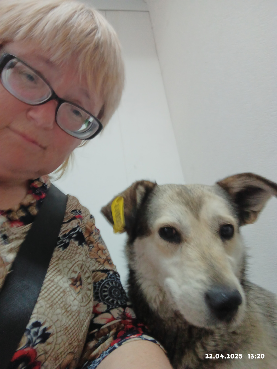 В ожидании когда катетер поставят