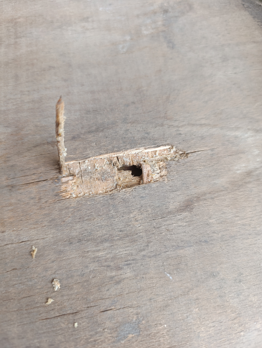 Вид с обратной стороны. Правда я уже успела убрать труху.