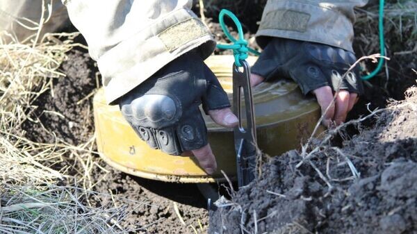    © Фото : Министерство обороны Украины