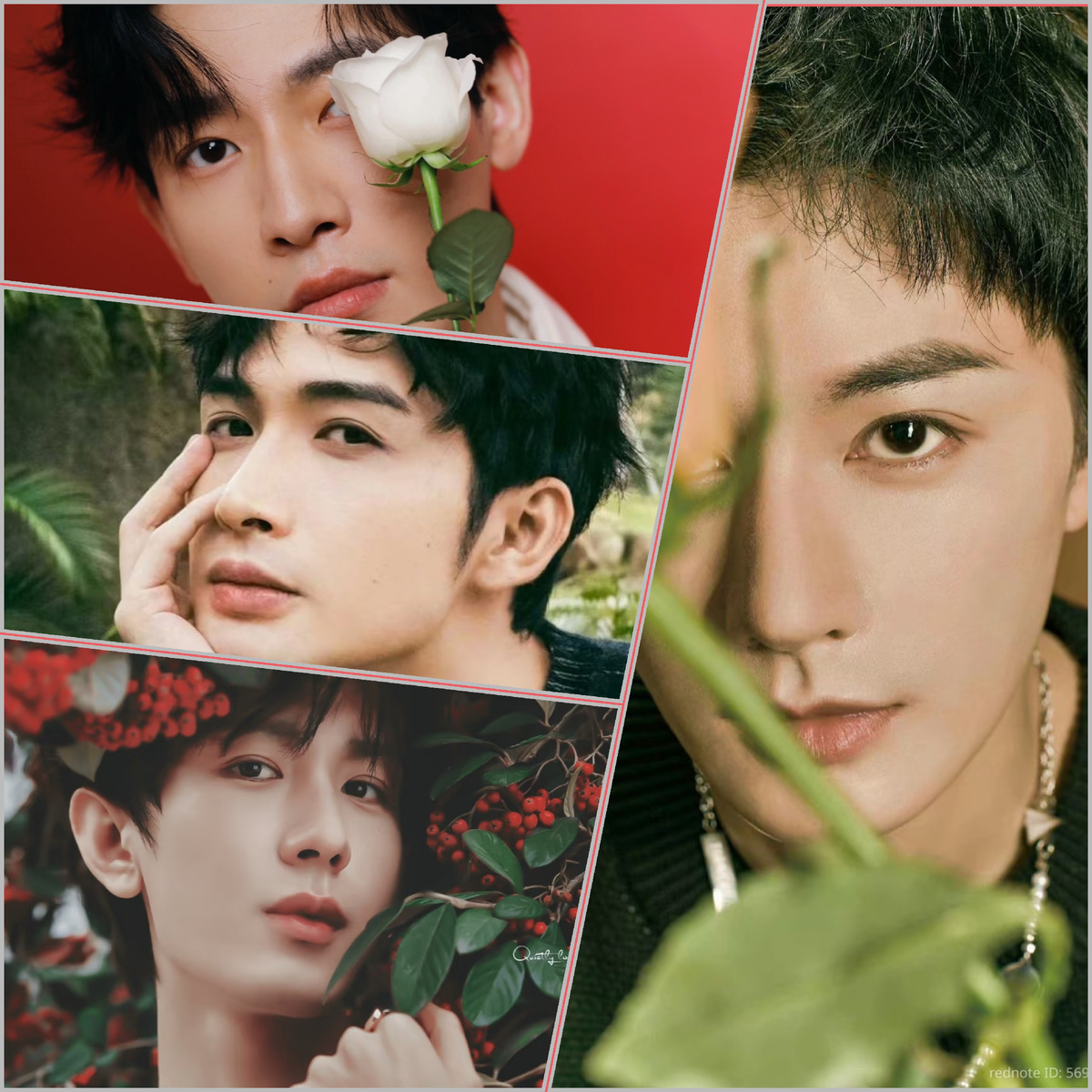 Все фотографии взяты из свободного источника 