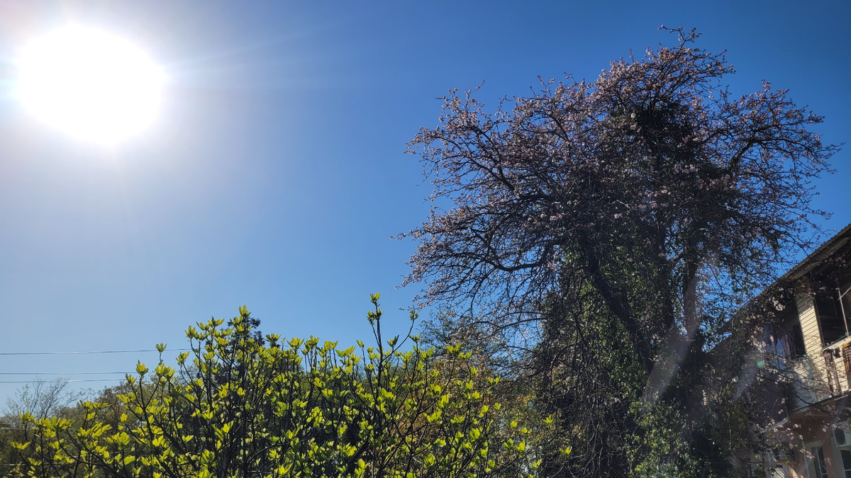 Солнечный день