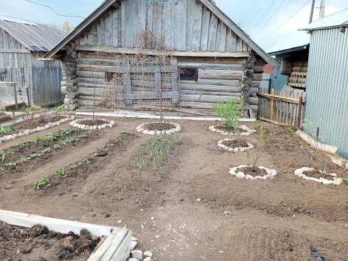 Рука не поднялась убрать Хмель, ведь он так красиво зеленеет летом. Может, он ещё проснётся... 