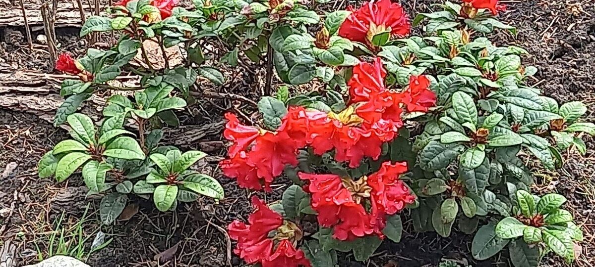 фото Людмилы