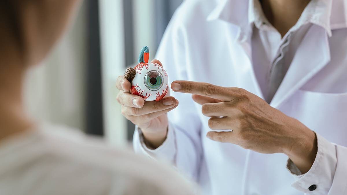    Фото: Shutterstock