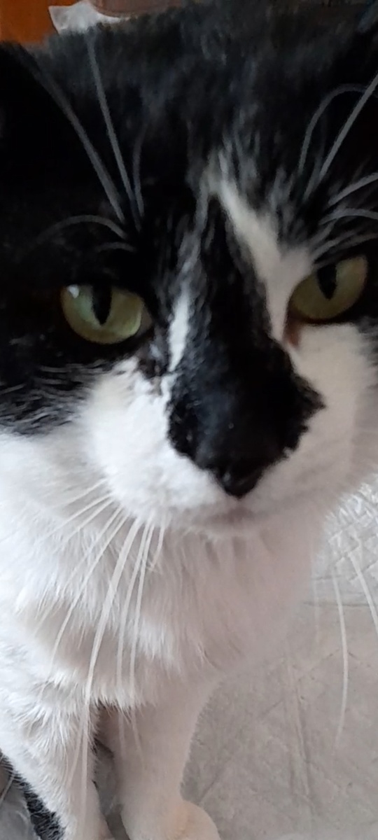 Фото автора.  Отвечай!