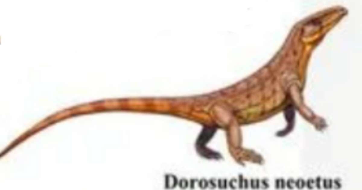 Дорозух от Дмитрия Богданова. 