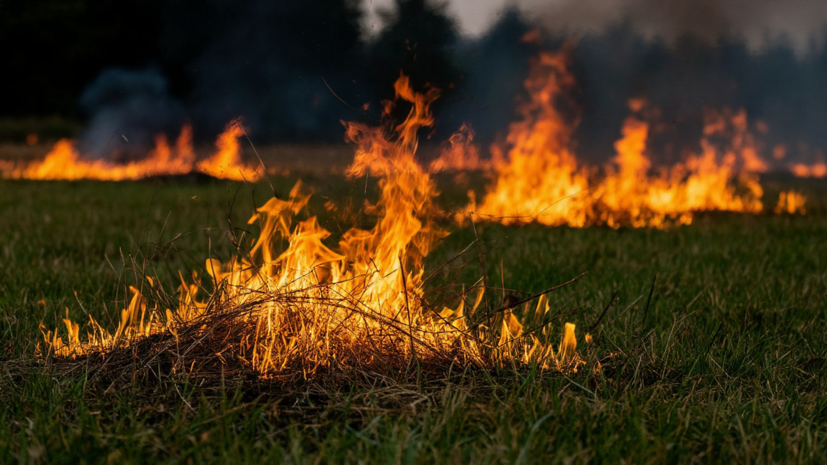    Сгенерировано с помощью ИИ