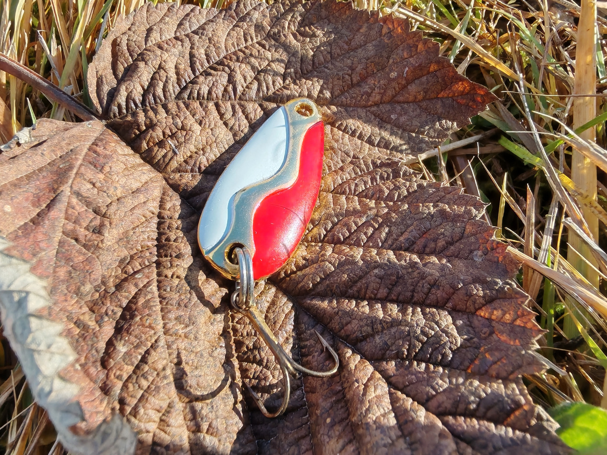 Acme Kamlooper выручит в самых разных условиях — будь то бурный перекат или широкий плес с глубиной