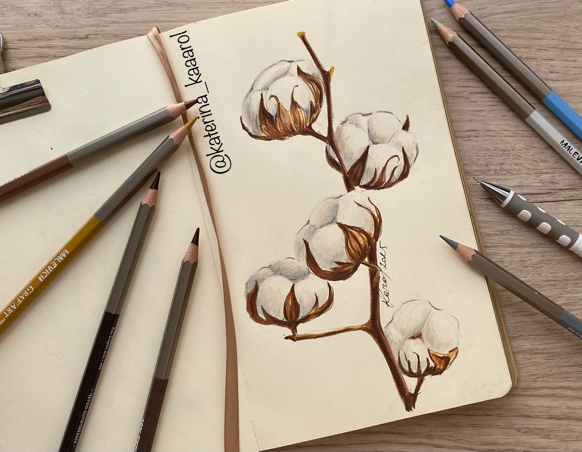 пример одного из уроков