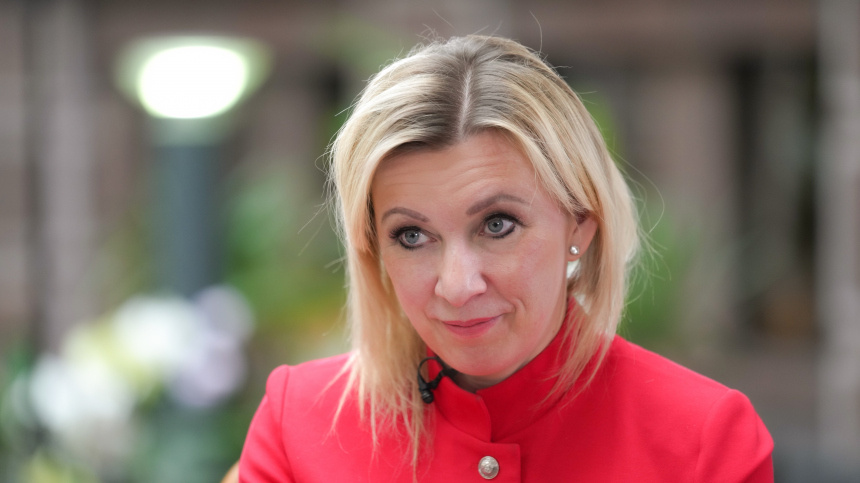    Фото: ИЗВЕСТИЯ/Дмитрий Коротаев; 5-tv.ru