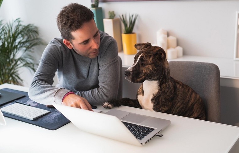    Shutterstock/FOTODOM