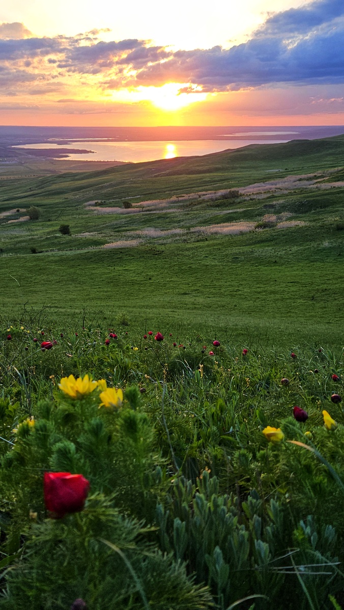 Вид на Сенгилеевское озеро