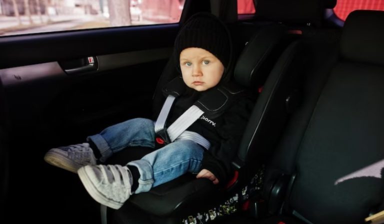    Фото: ru.freepik.com Екатерина Шахнина