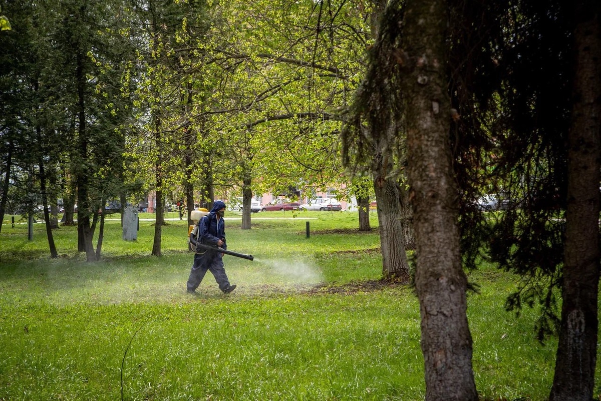 Фото: Администрация города Курска