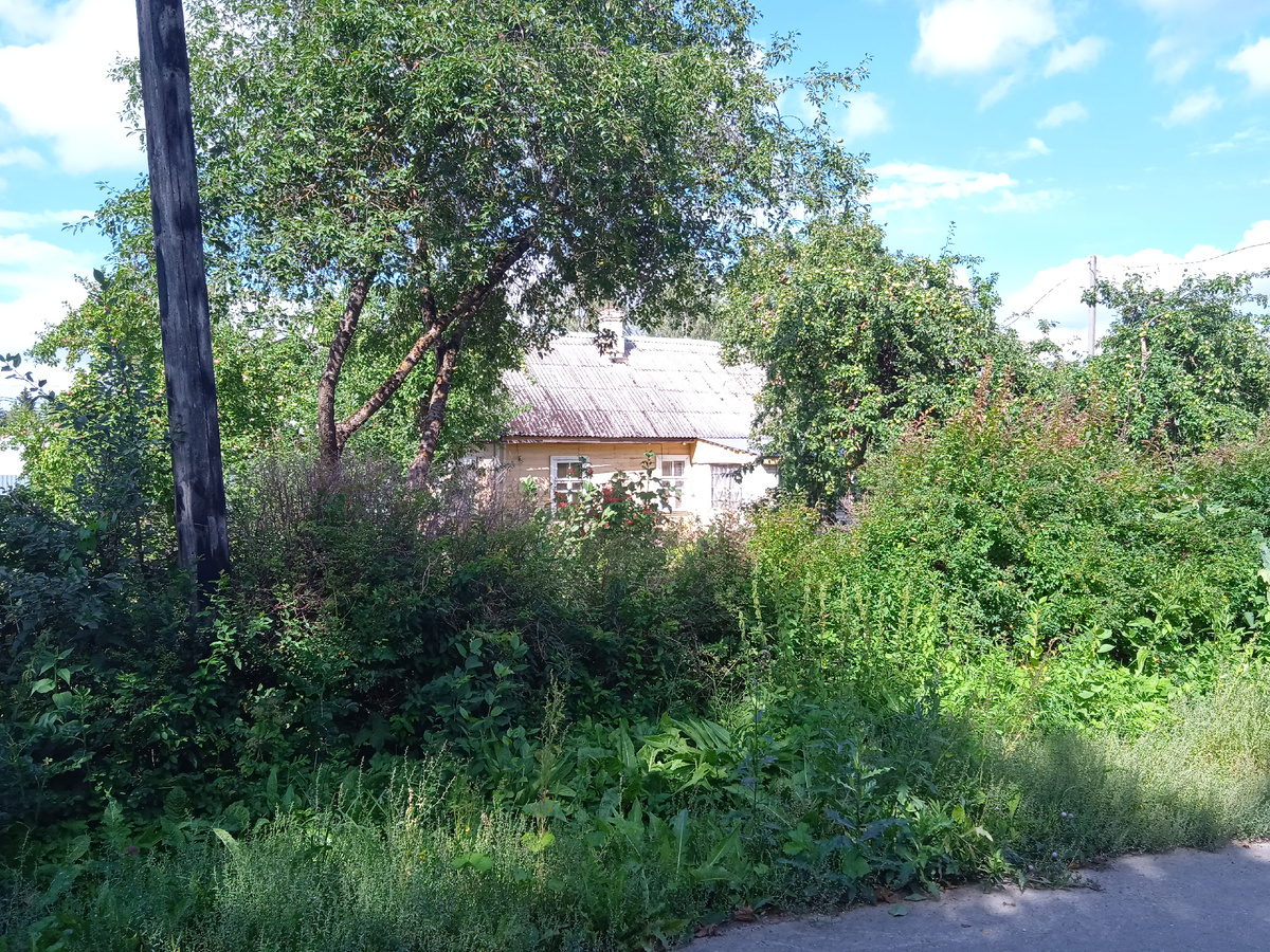 Фото для иллюстрации