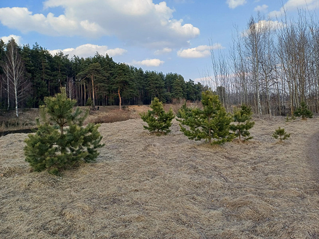 Собственник лишился 16 участков, которые уйдут с торгов в Тверской области