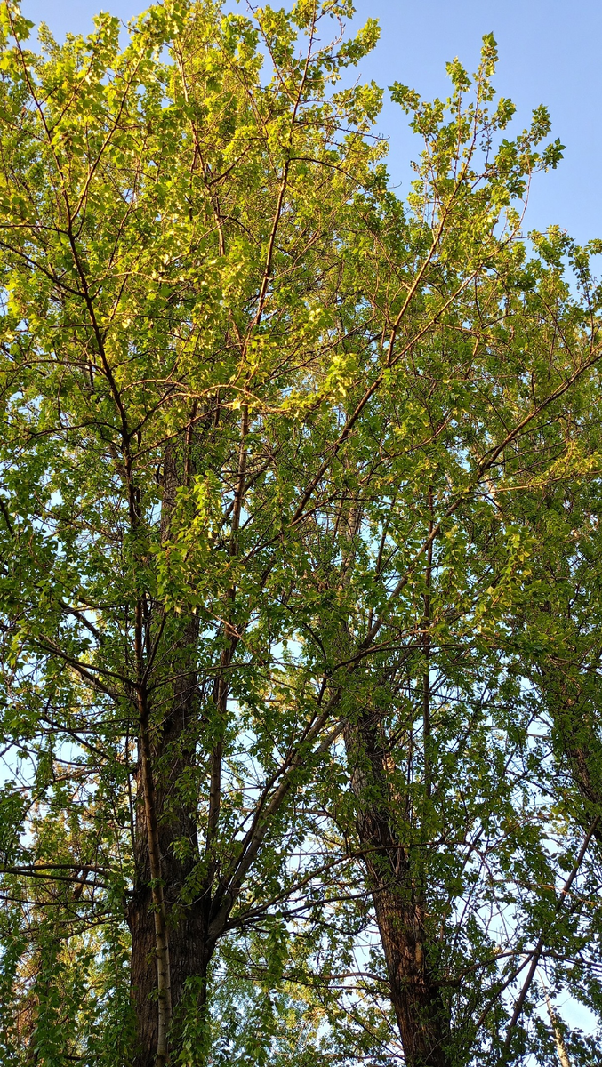 Фото автора.