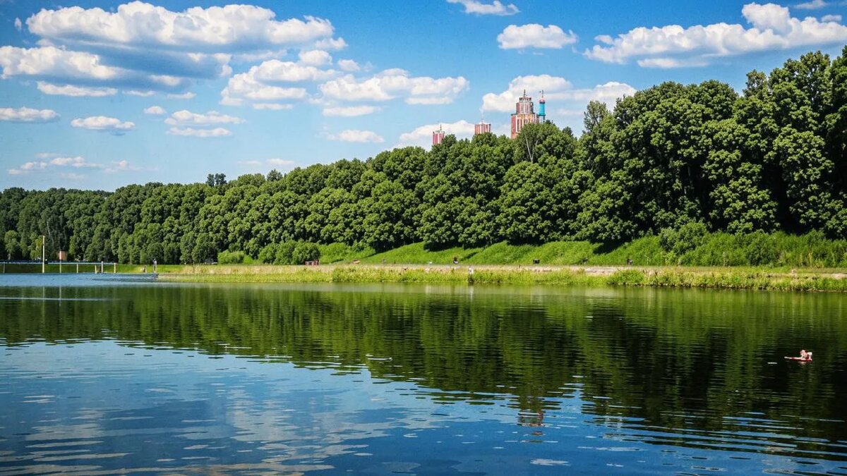    Сгенерировано ИИ