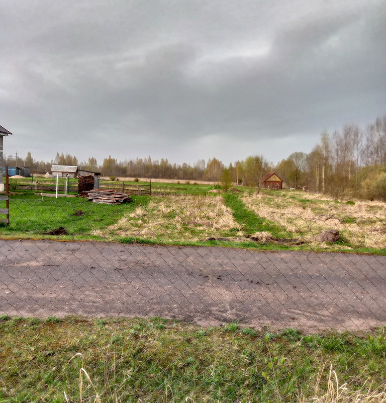 Дорожка к мелколесью