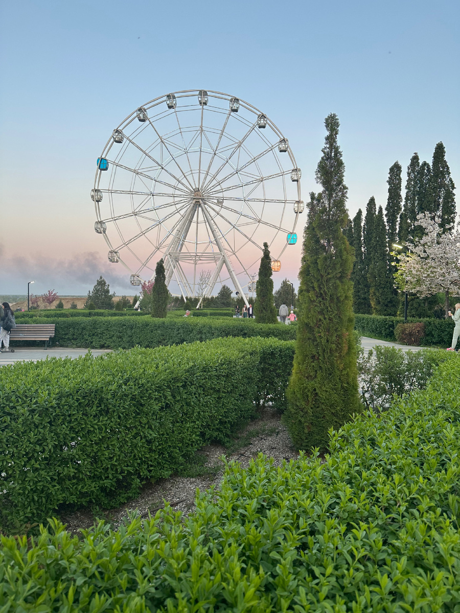 Колосе обозрения. Фото автора 