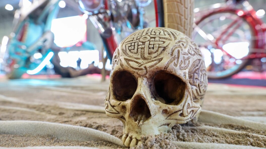    Belkin Alexey/Globallookpress