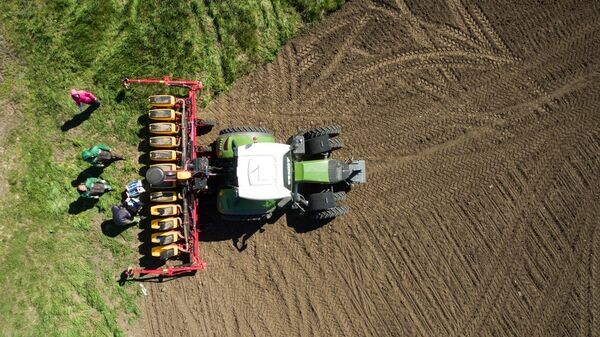    © Sputnik / Vitaliy Timkiv