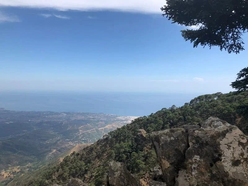 Фото: UfacityNews.ru