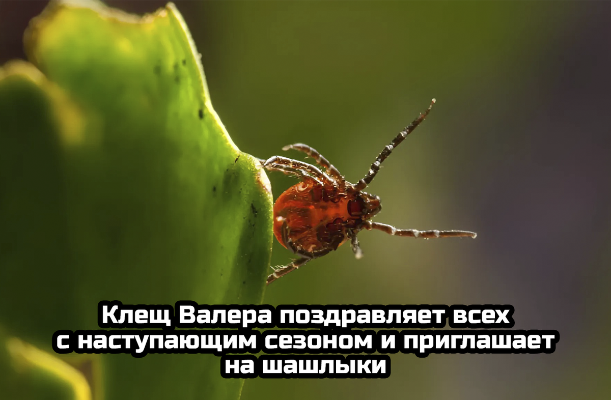 https://avatars.dzeninfra.ru/get-zen_doc/271828/pub_6807dc7535f77a6117bfef83_680a901cc20d8139b8e91f6b/scale_1200